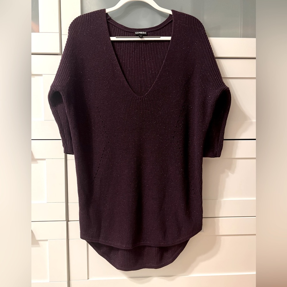 Express V-Neck Sparkly Tunic